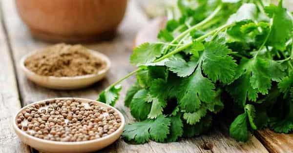 تصویر 1 از تخم گشنیز + فروش عمده